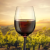 Regaldisplay-Holz-Rotwein